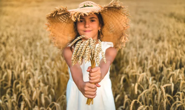 Buğday Tarlasında Bir Çocuk Seçici Odaklanma Doğa — Stok fotoğraf