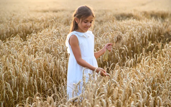 Ein Kind Einem Weizenfeld Selektiver Fokus Natur — Stockfoto