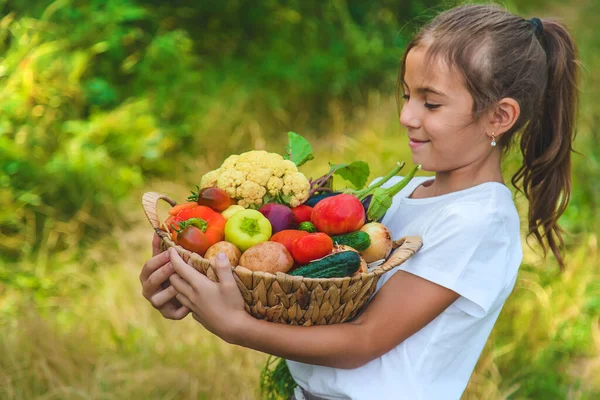 Çocuk Sebzeleri Elinde Tutuyor Seçici Odaklanma Çocuk — Stok fotoğraf