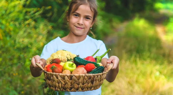 Criança Tem Legumes Nas Mãos Foco Seletivo Miúdo — Fotografia de Stock