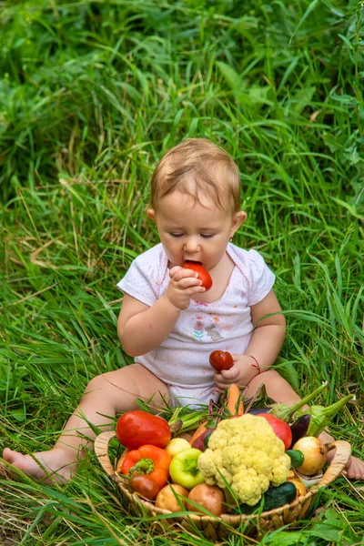 Bambino Tiene Verdure Nelle Sue Mani Concentrazione Selettiva Ragazzo — Foto Stock