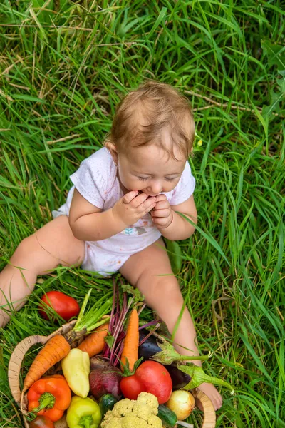 Bambino Tiene Verdure Nelle Sue Mani Concentrazione Selettiva Ragazzo — Foto Stock