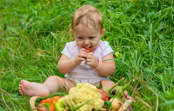 어린이는 야채를 선택적 집중입니다 어린이 — 스톡 사진