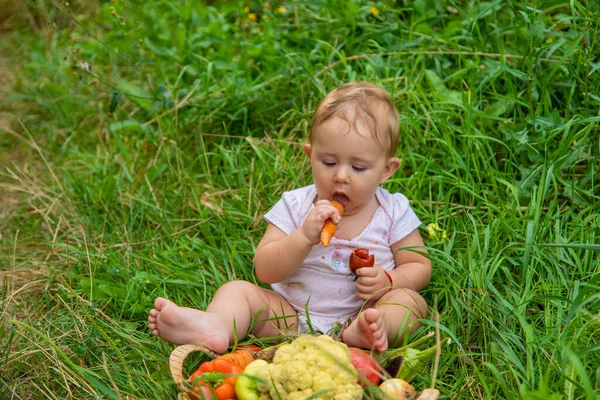 Niño Tiene Verduras Sus Manos Enfoque Selectivo Niño — Foto de Stock