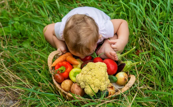 Niño Tiene Verduras Sus Manos Enfoque Selectivo Niño — Foto de Stock