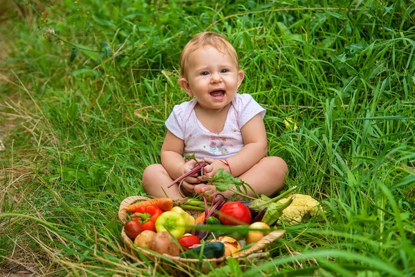 Child Holds Vegetables His Hands Selective Focus Kid — Stock Photo, Image
