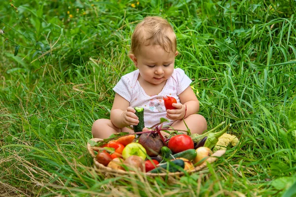 Çocuk Sebzeleri Elinde Tutuyor Seçici Odaklanma Çocuk — Stok fotoğraf