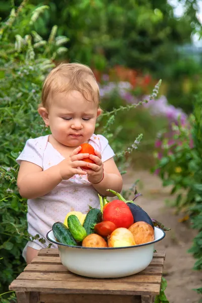 Criança Tem Legumes Nas Mãos Foco Seletivo Miúdo — Fotografia de Stock
