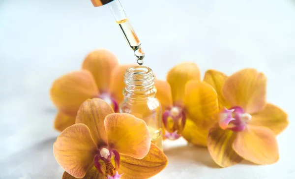 Ätherisches Orchideenöl Einem Kleinen Fläschchen Selektiver Fokus Natur — Stockfoto