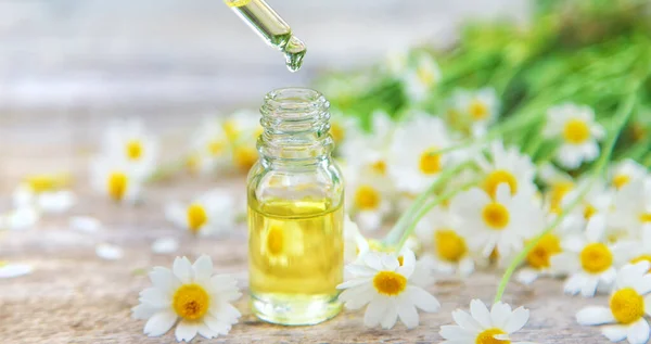Chamomile Essential Oil Small Bottle Selective Focus Nature — Stock Photo, Image