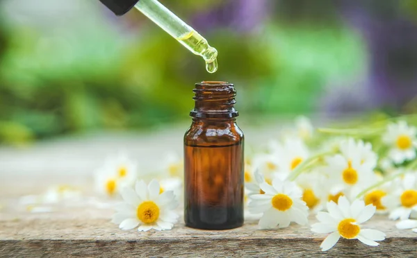 Chamomile Essential Oil Small Bottle Selective Focus Nature — Stock Photo, Image