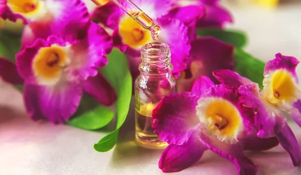 Orchid Essential Oil Small Bottle Selective Focus Nature — Stock Photo, Image