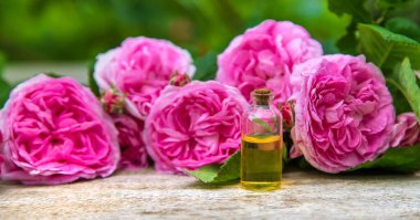 Küçük bir şişede gül yağı. Seçici odaklanma. Doğa.