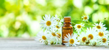 Papatya yağı küçük bir şişede. Seçici odaklanma. Doğa.