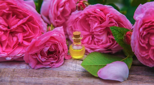 Эфирное Масло Розы Маленькой Бутылке Выборочный Фокус Природа — стоковое фото
