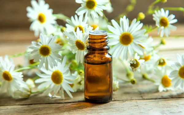 Chamomile Essential Oil Small Bottle Selective Focus Nature — Stock Photo, Image