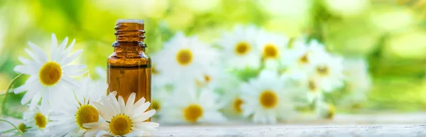 Chamomile Essential Oil Small Bottle Selective Focus Nature — Stock Photo, Image