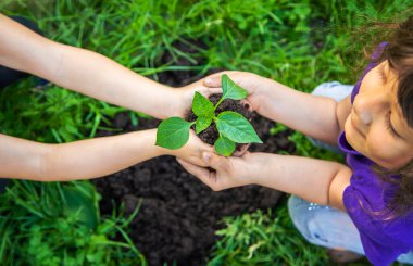 Çocuk birlikte bir ağaç dikiyor. Seçici odaklanma. Çocuk.