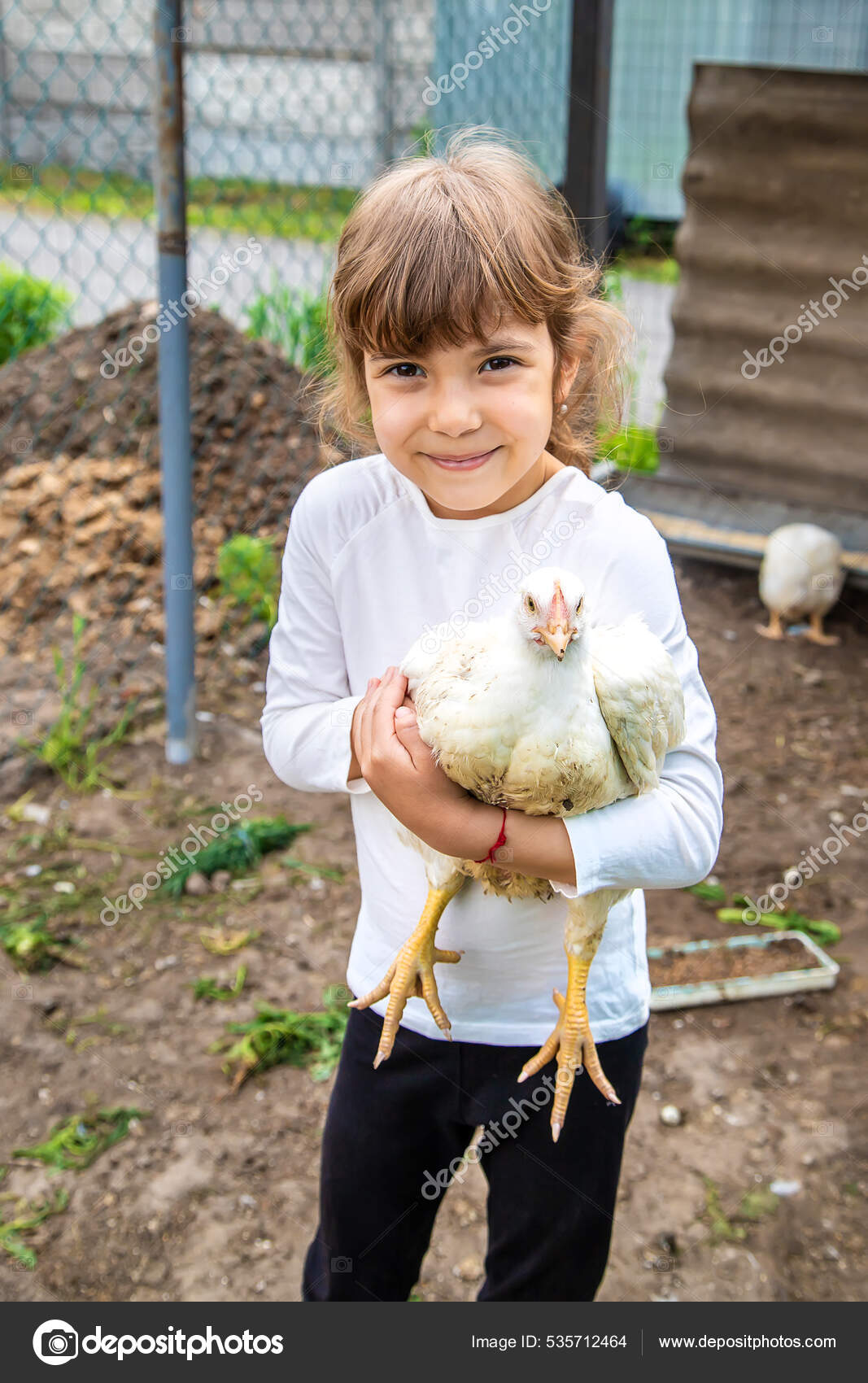Child Chicken Coop Feeds Hens Selective Focus Kid Stock Photo by ©yana