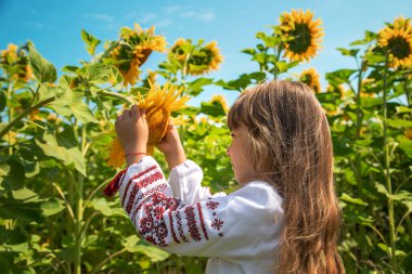 Ayçiçeği tarlasında bir çocuk. Seçici odaklanma. Doğa.