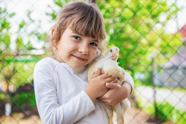 Anak Kandang Ayam Memberi Makan Ayam Betina Fokus Selektif Anak — Stok Foto
