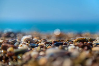 Pebbles on the beach by the sea. Selective focus. Nature.