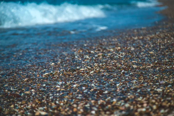 Pebbles Beach Sea Selective Focus Nature —  Fotos de Stock