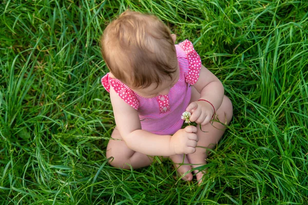 Child Sits Grass Summer Selective Focus Nature — Stockfoto