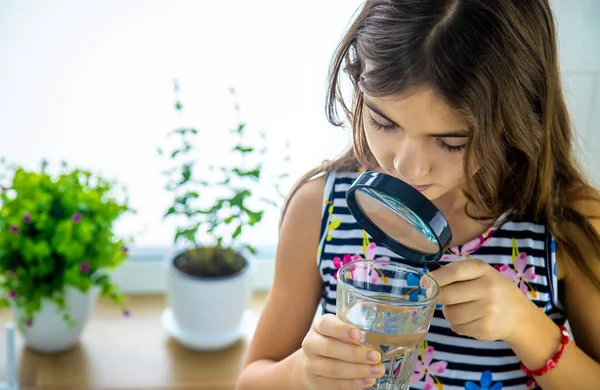 Barn Tittar Vattnet Med Ett Förstoringsglas Selektivt Fokus Grabben — Stockfoto