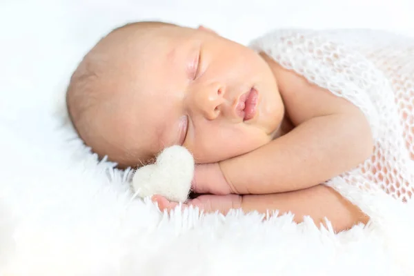 Newborn Baby Sleeping White Background Selective Focus People — Stock Photo, Image