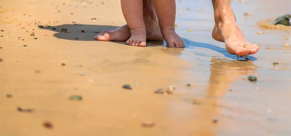 Малыш и папа гуляют по пляжу. Селективный фокус. — стоковое фото