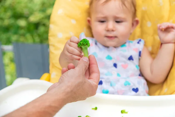 Baby eats pieces of broccoli vegetables. Selective focus.