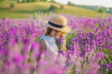 Lavanta tarlasında bir çocuk. Seçici odak.