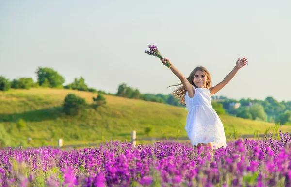 Dziecko na polu lawendowym. Skupienie selektywne. — Zdjęcie stockowe