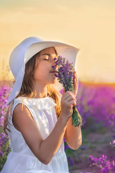 Un niño en un campo de lavanda. Enfoque selectivo. — Foto de Stock