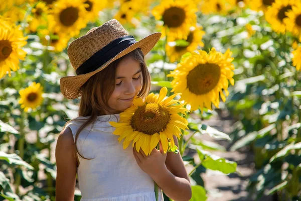 Дитяча дівчинка в полі соняшників. Вибірковий фокус . — стокове фото