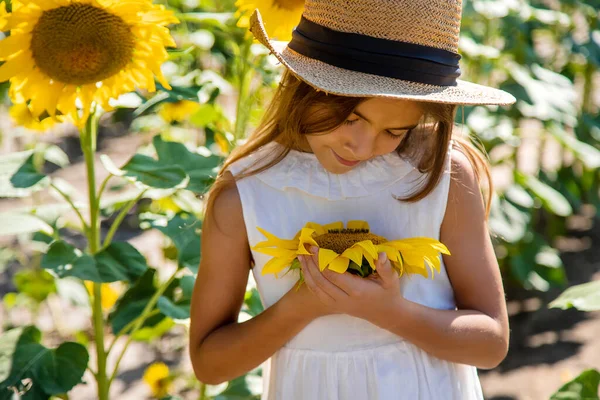 Petite fille dans un champ de tournesols. Concentration sélective. — Photo