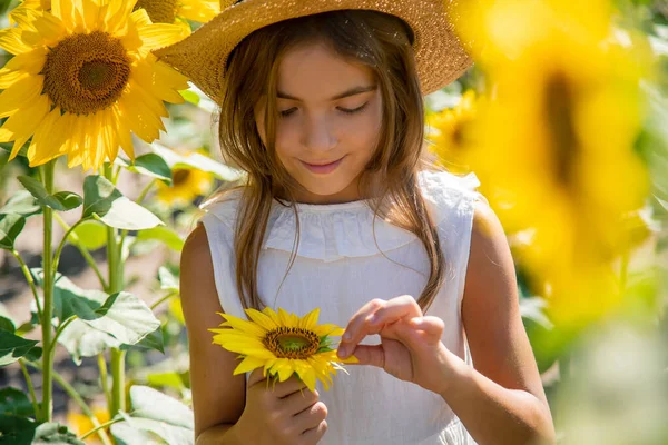 Дитяча дівчинка в полі соняшників. Вибірковий фокус . — стокове фото