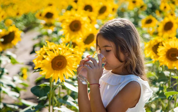 Дитина п'є воду зі склянки на полі квітів. Вибірковий фокус . — стокове фото