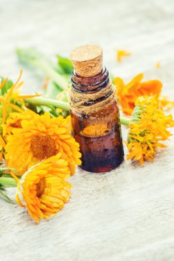 Calendula özü. Şifalı bitkiler. Seçici odak.
