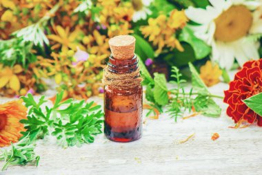 Bir harç otlar. Şifalı bitkiler. Seçici odak.