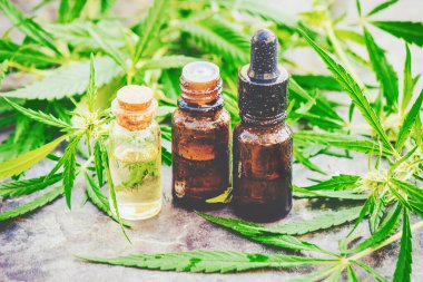 Tedavi için kenevir ve yapraklar et suyu, tentür, özü, yağ. Seçici odak.