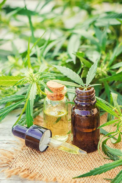 Herbe de cannabis et feuilles pour le bouillon de traitement, teinture, extrait, huile. Concentration sélective. — Photo