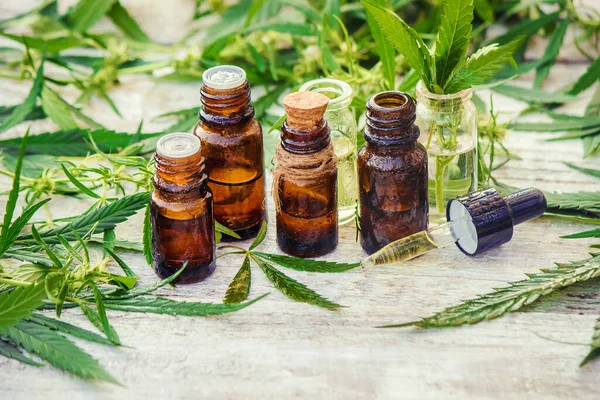 Cannabiskraut und -blätter zur Behandlung von Brühe, Tinktur, Extrakt, Öl. Selektiver Fokus. — Stockfoto