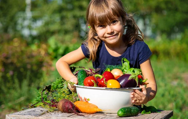 Anak Dengan Sayuran Kebun Fokus Selektif Makanan — Stok Foto