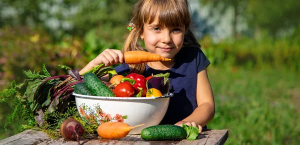 Niño Con Verduras Jardín Enfoque Selectivo Comida — Foto de Stock