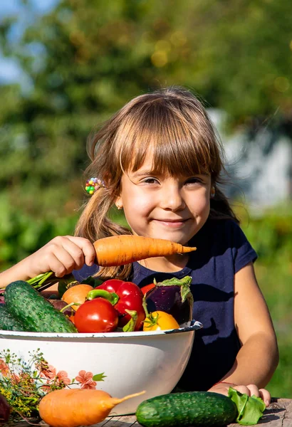 Bahçede Sebzeli Çocuk Seçici Odaklanma Yiyecek — Stok fotoğraf