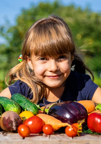 Anak Dengan Sayuran Kebun Fokus Selektif Makanan — Stok Foto