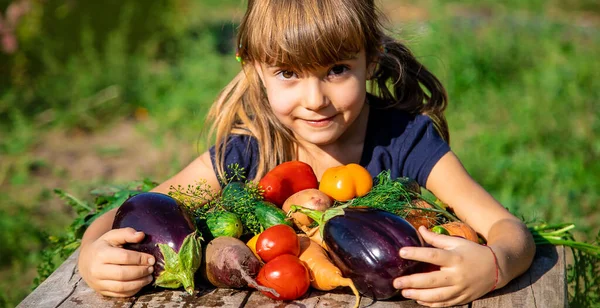 Bahçede Sebzeli Çocuk Seçici Odaklanma Yiyecek — Stok fotoğraf