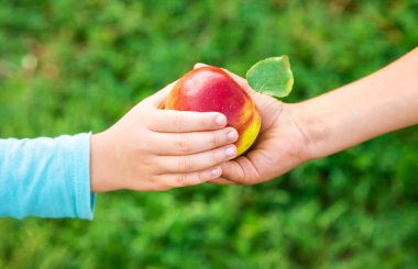 Çocukların elinde bir elma arkadaşlar tarafından paylaşılır. Seçici odaklanma. Çocuklar,
